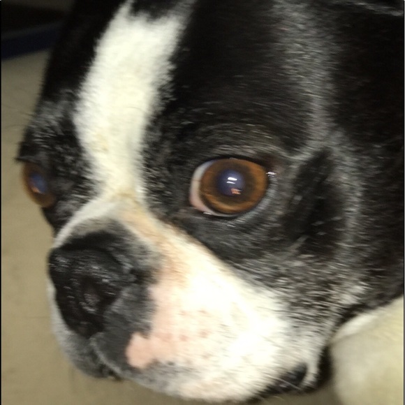 ⭐️ - Picture 5 of 6